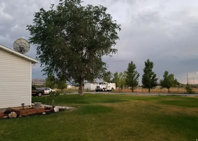 View of grassy yard