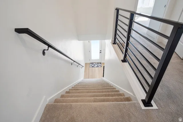Stairway with carpet and a high ceiling