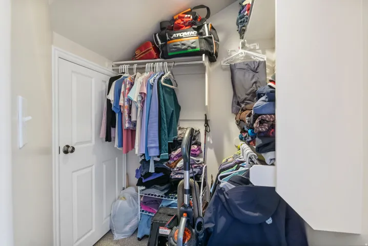 Walk in closet with light colored carpet
