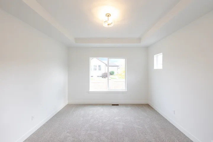 Neutral-toned carpeting and light wall finishes complement the tray ceiling with central lighting