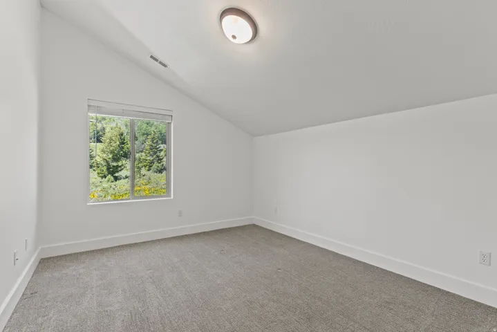 Bonus room with vaulted ceiling and carpet floors