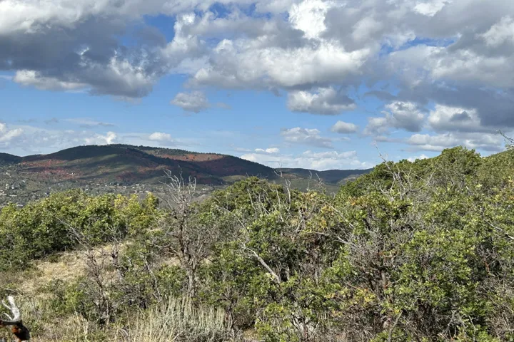 Expansive natural landscape featuring lush green foliage and distant mountains