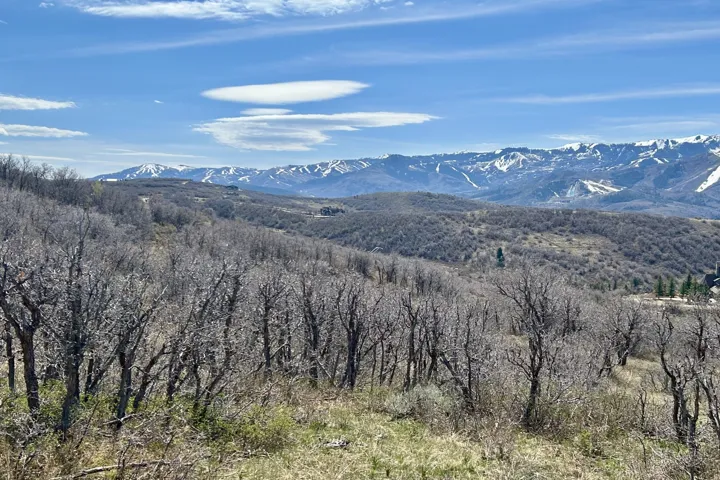 Expansive natural landscape with distant snow-capped mountains