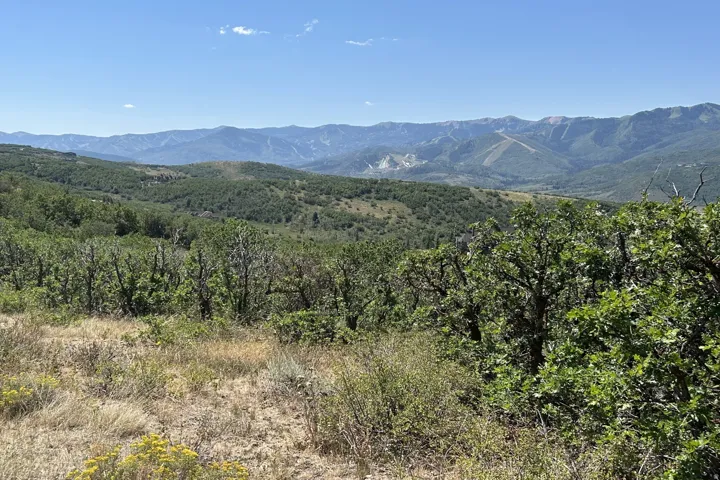 Mountainous landscape with expansive sky and varied tree coverage