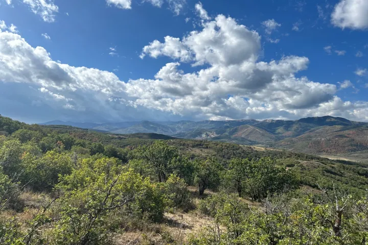 Expansive mountain landscape with diverse foliage and distant peaks