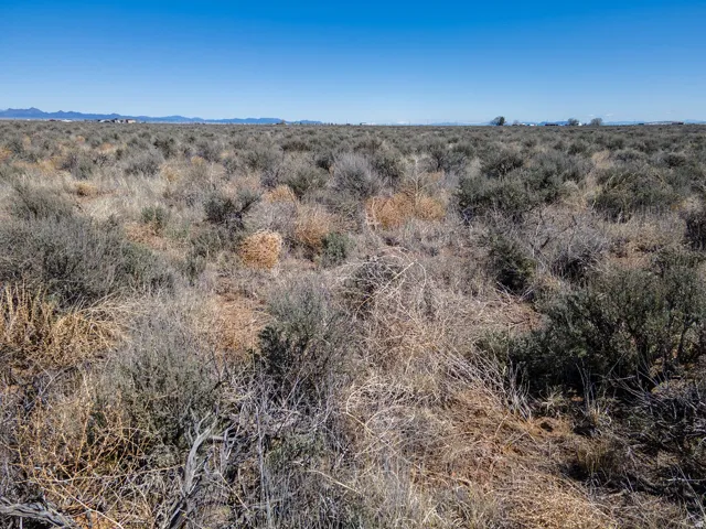 View of undeveloped land featuring a mountainous background