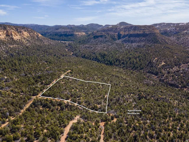 Aerial overview of property's location featuring property boundaries highlighted and a forest