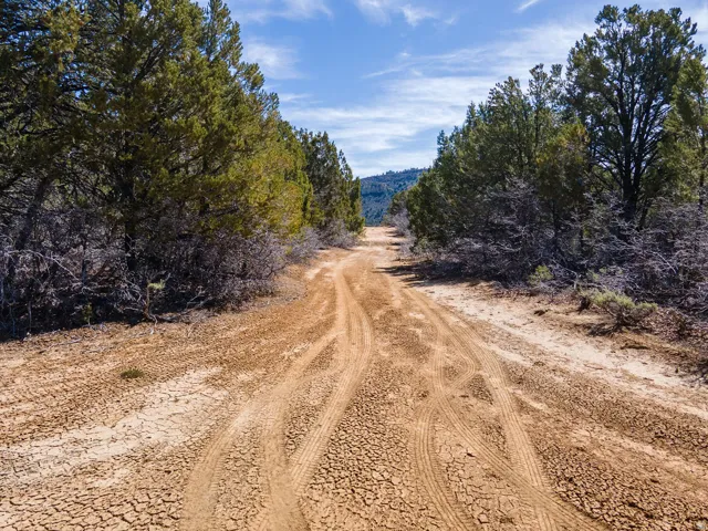View of dirt / gravel road