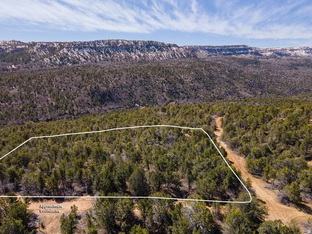 Aerial view of property's location with property boundaries highlighted and a forest