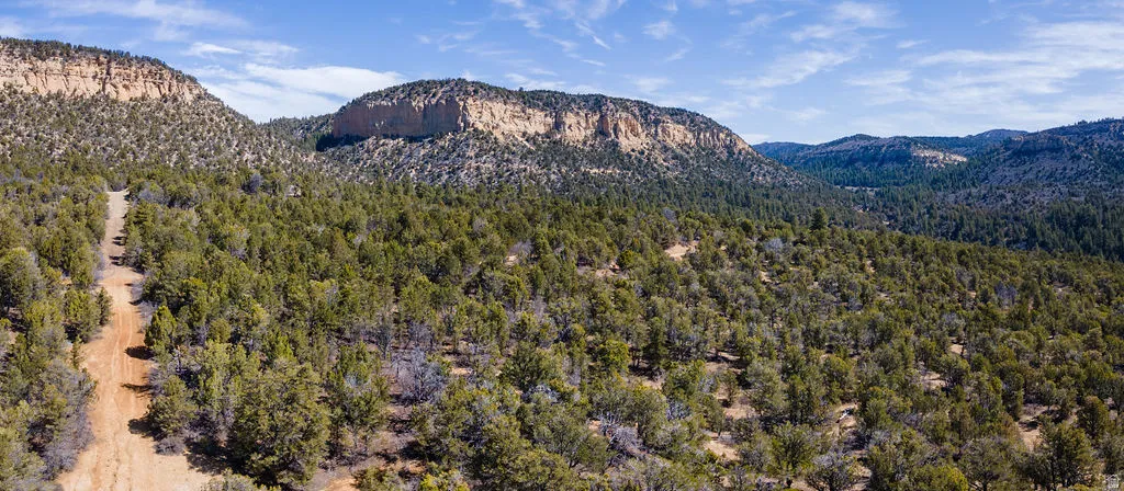 View of mountain background
