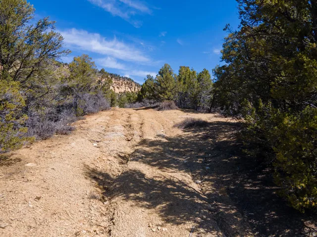 View of undeveloped land