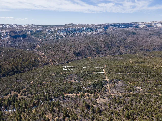 Drone / aerial view of mountains