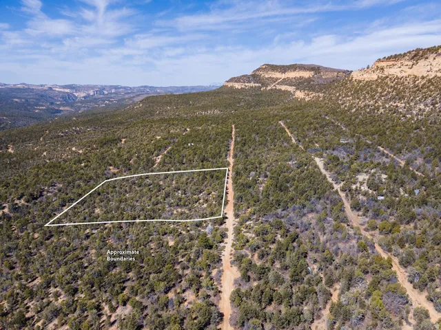 Bird's eye view of a mountainous background