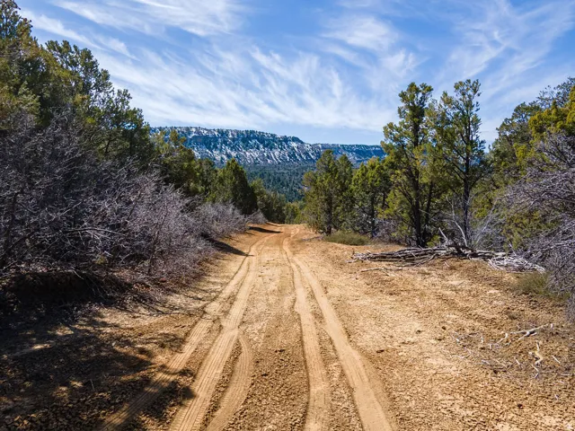 View of mountain backdrop featuring a heavily wooded area