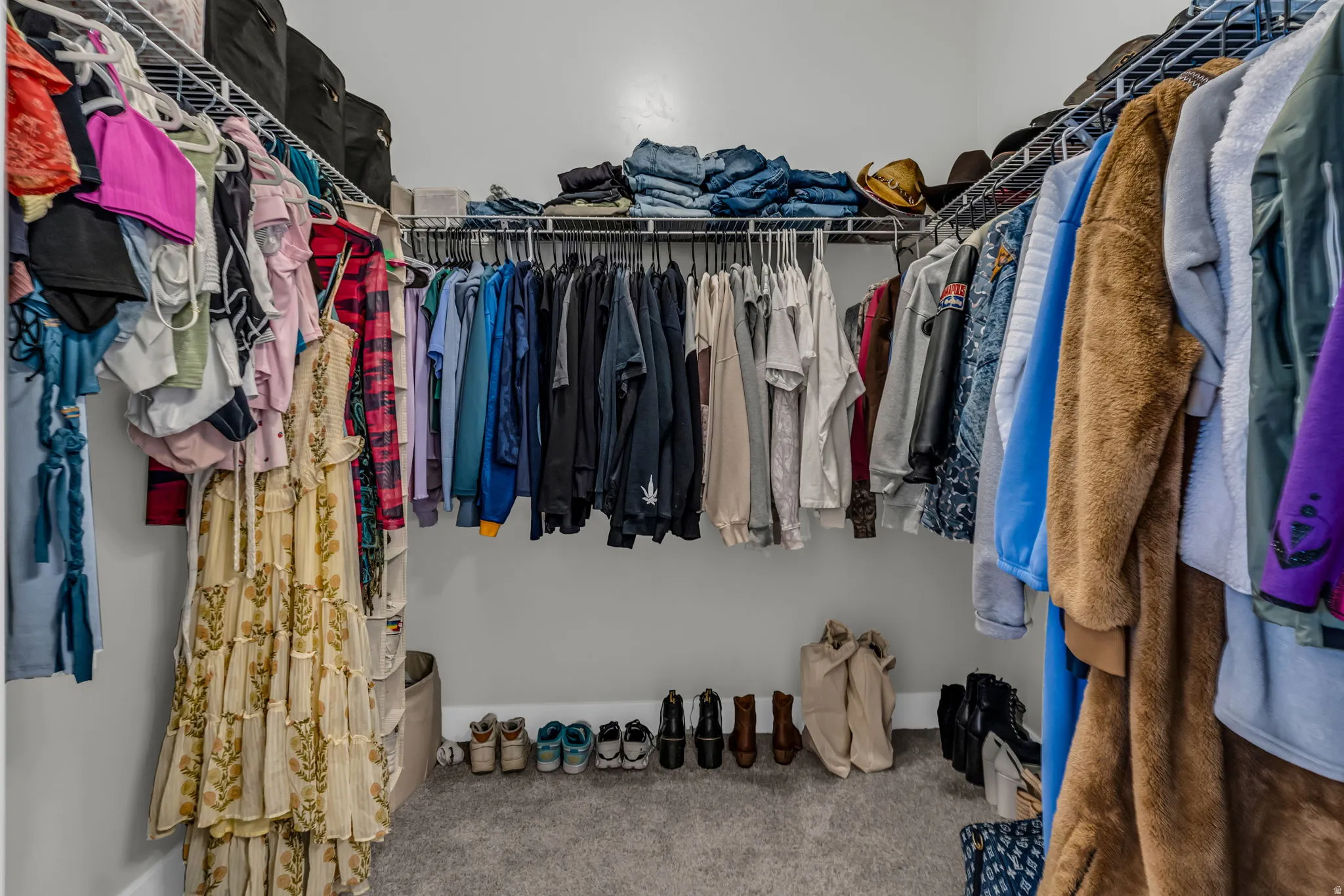 Walk in closet featuring carpet floors