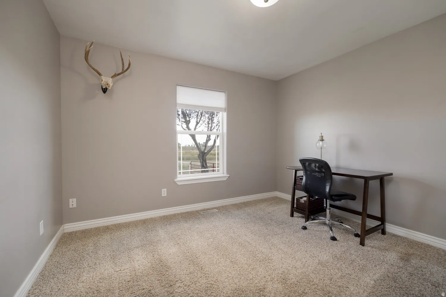 Office space featuring light colored carpet and baseboards
