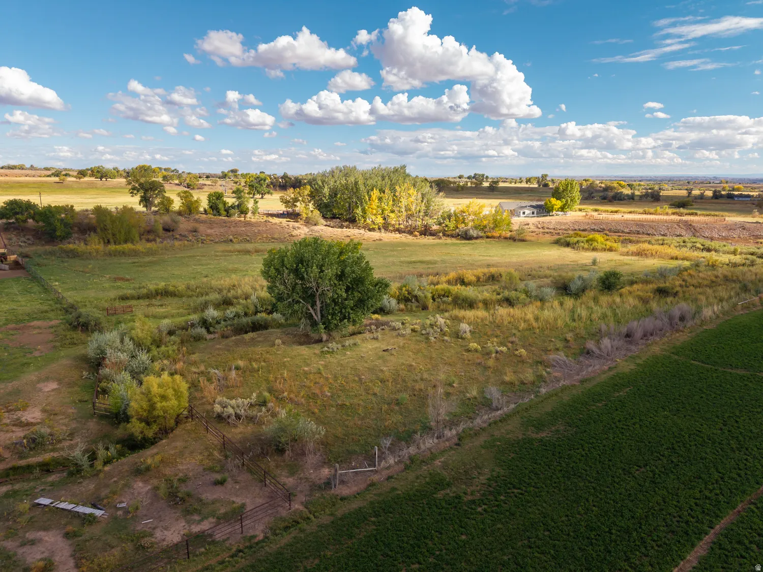 View of local wilderness with rural landscape