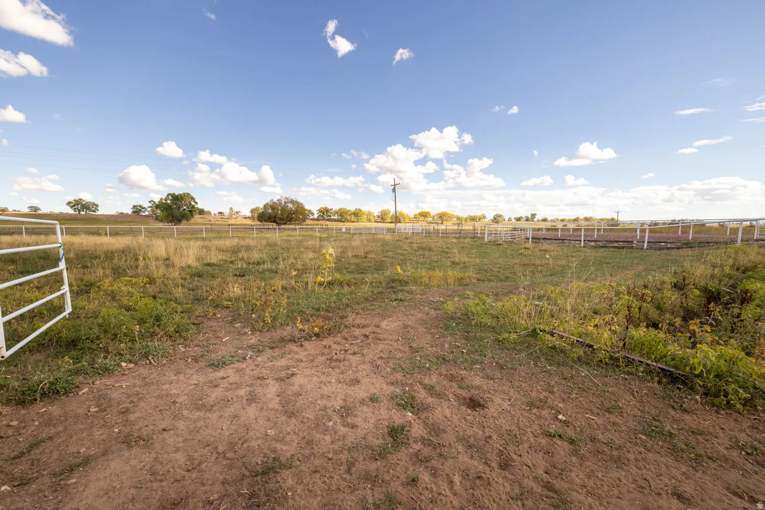 View of yard with a view of rural / pastoral area