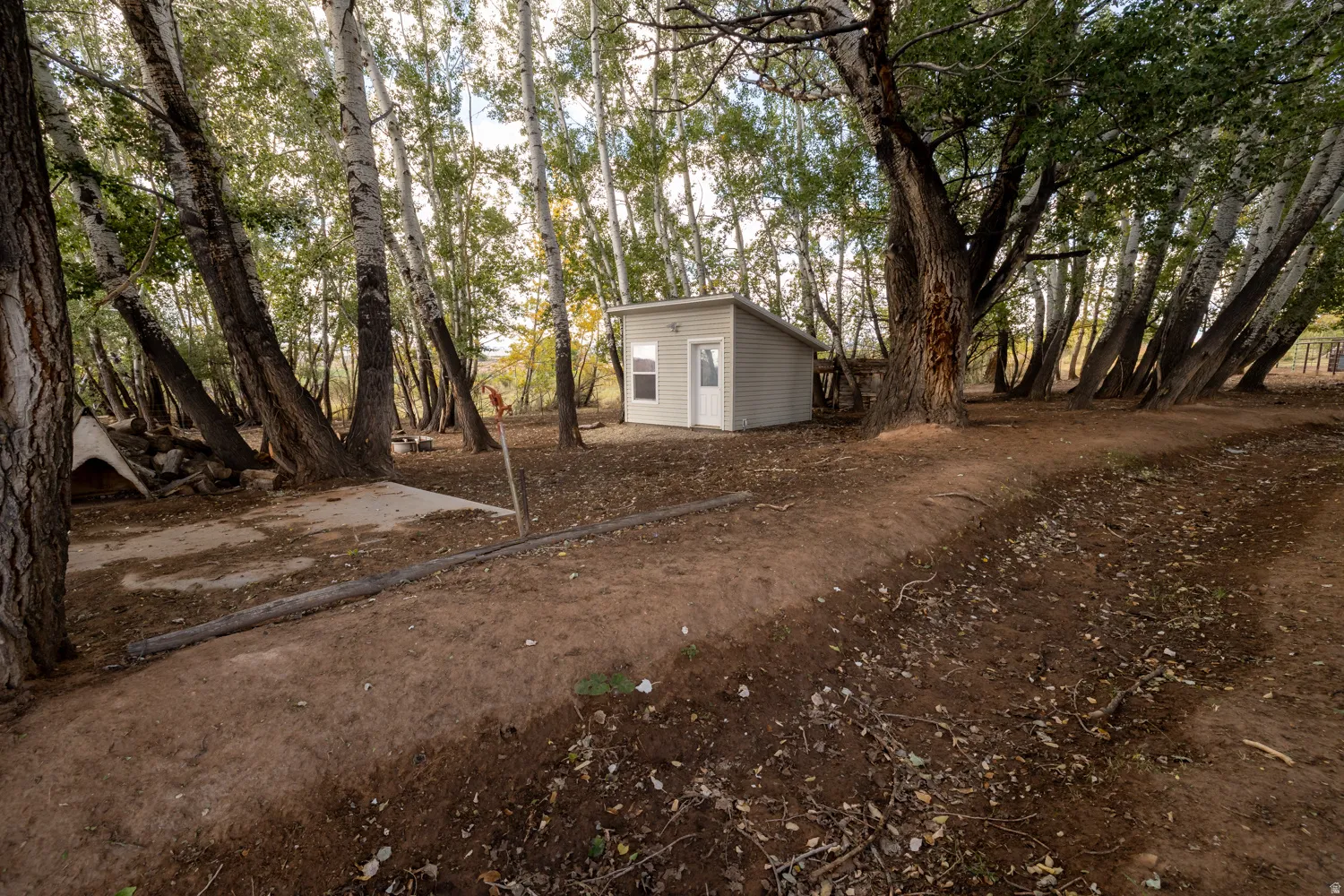 View of yard with view of scattered trees