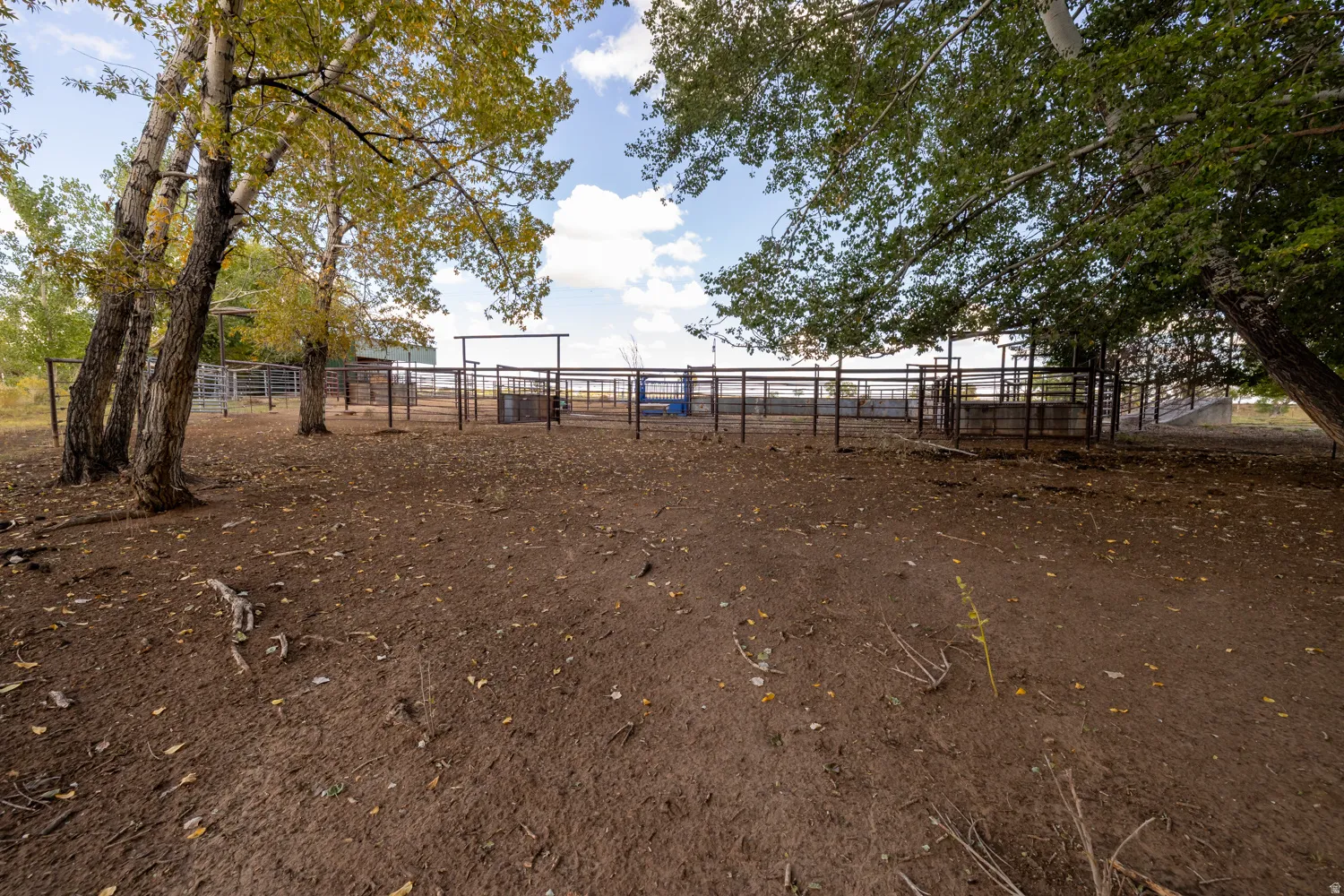 View of yard featuring an outbuilding and an exterior structure
