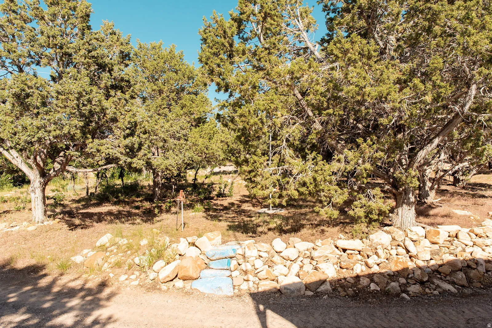 View of nature