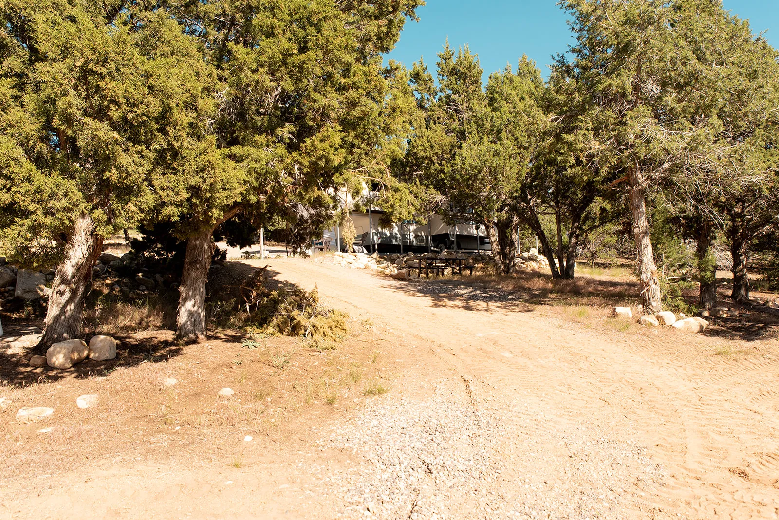 View of street with view of wooded area