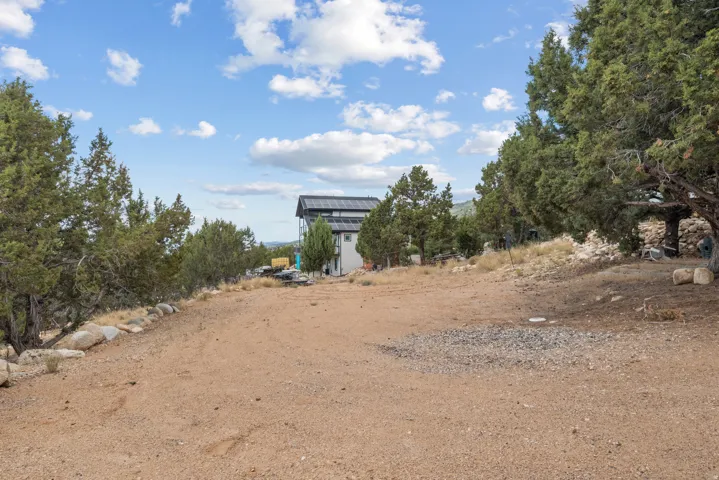 Expansive natural terrain featuring mature trees and a gravel driveway