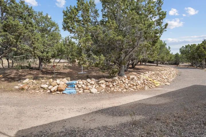 Gravel driveway with a stone retaining wall and mature trees