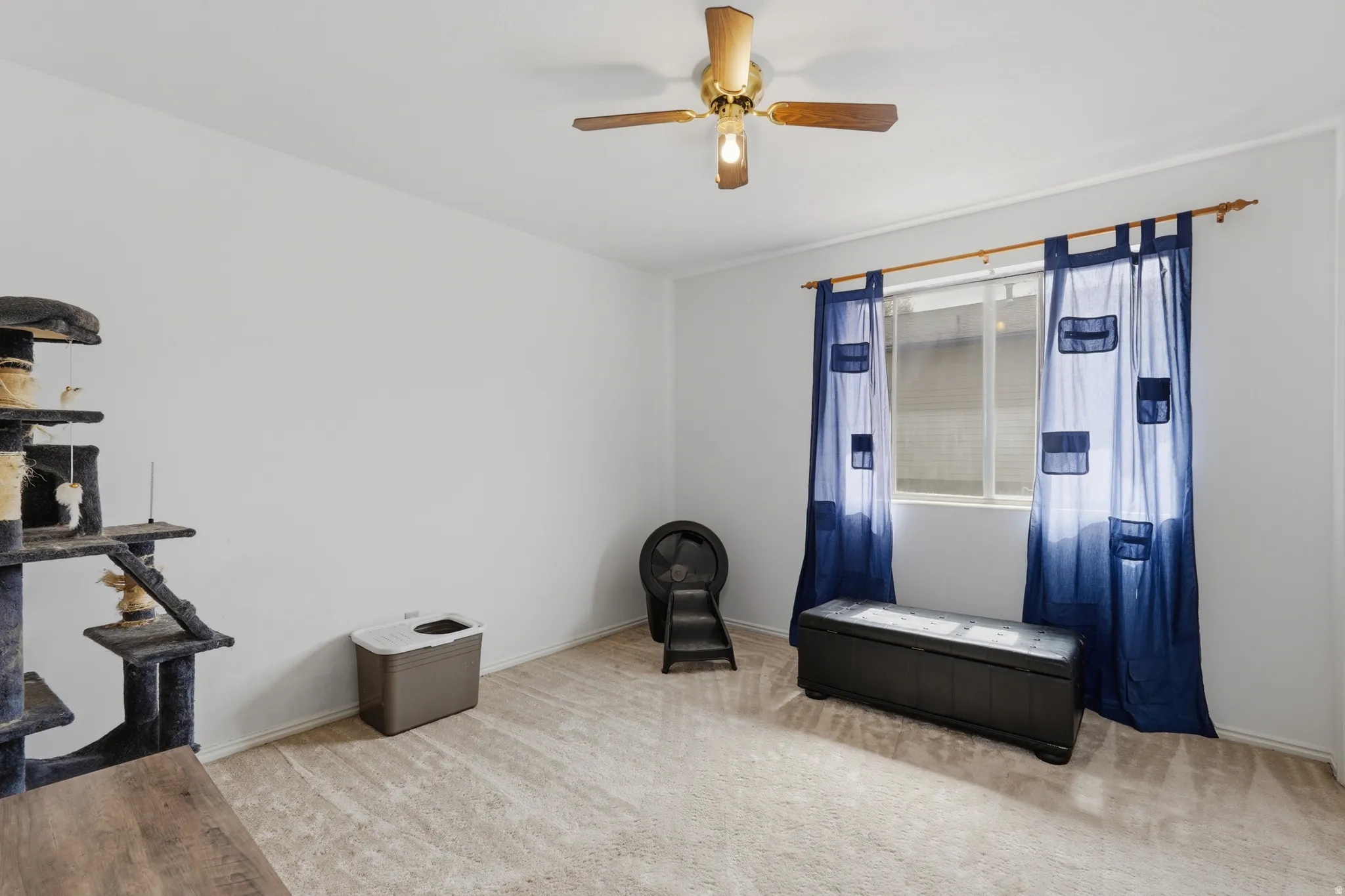 Miscellaneous room featuring a ceiling fan and light carpet
