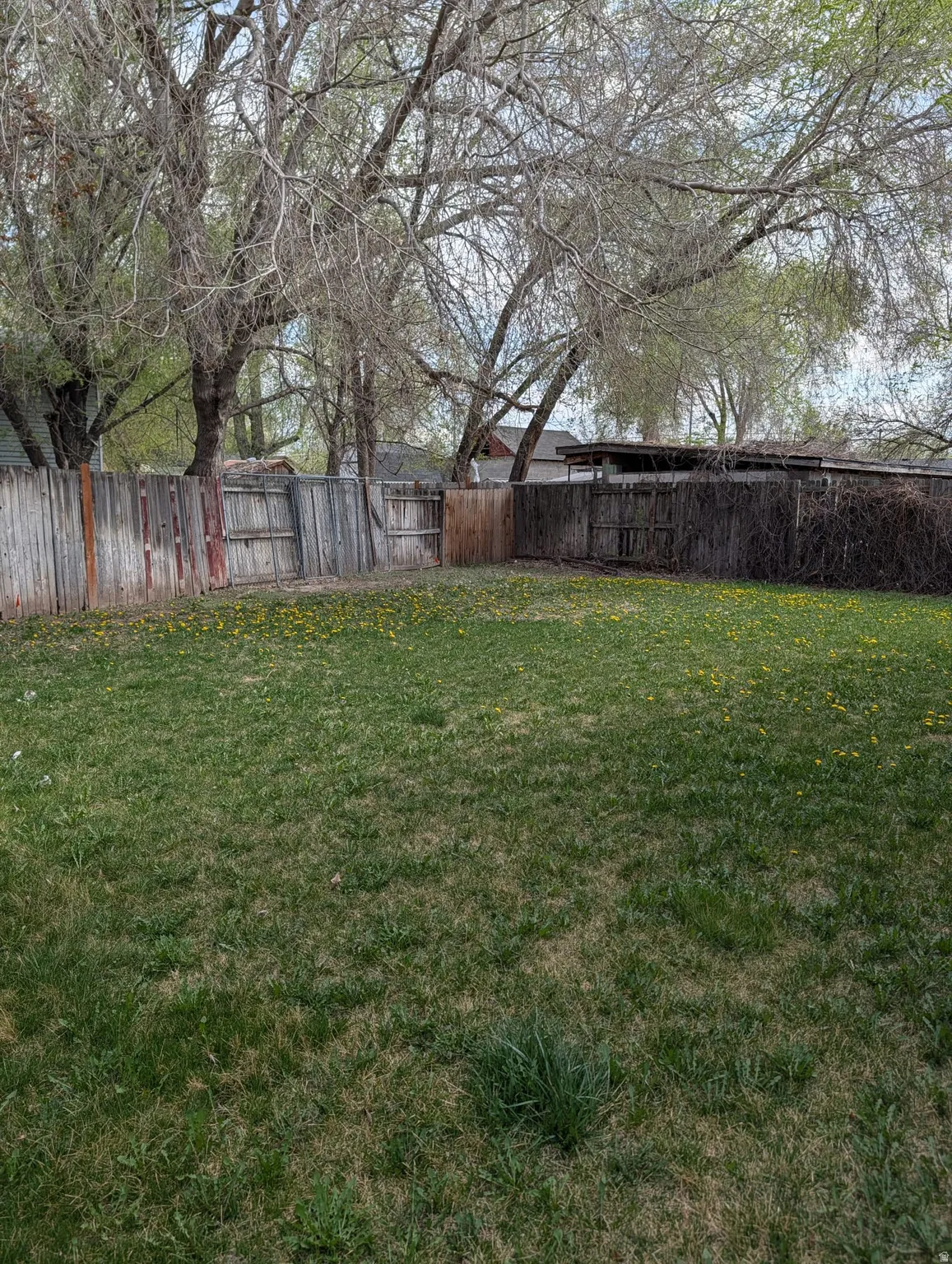 View of fenced backyard