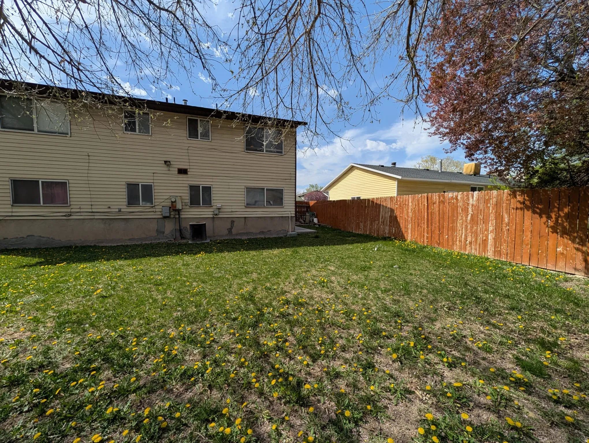 Rear view of house