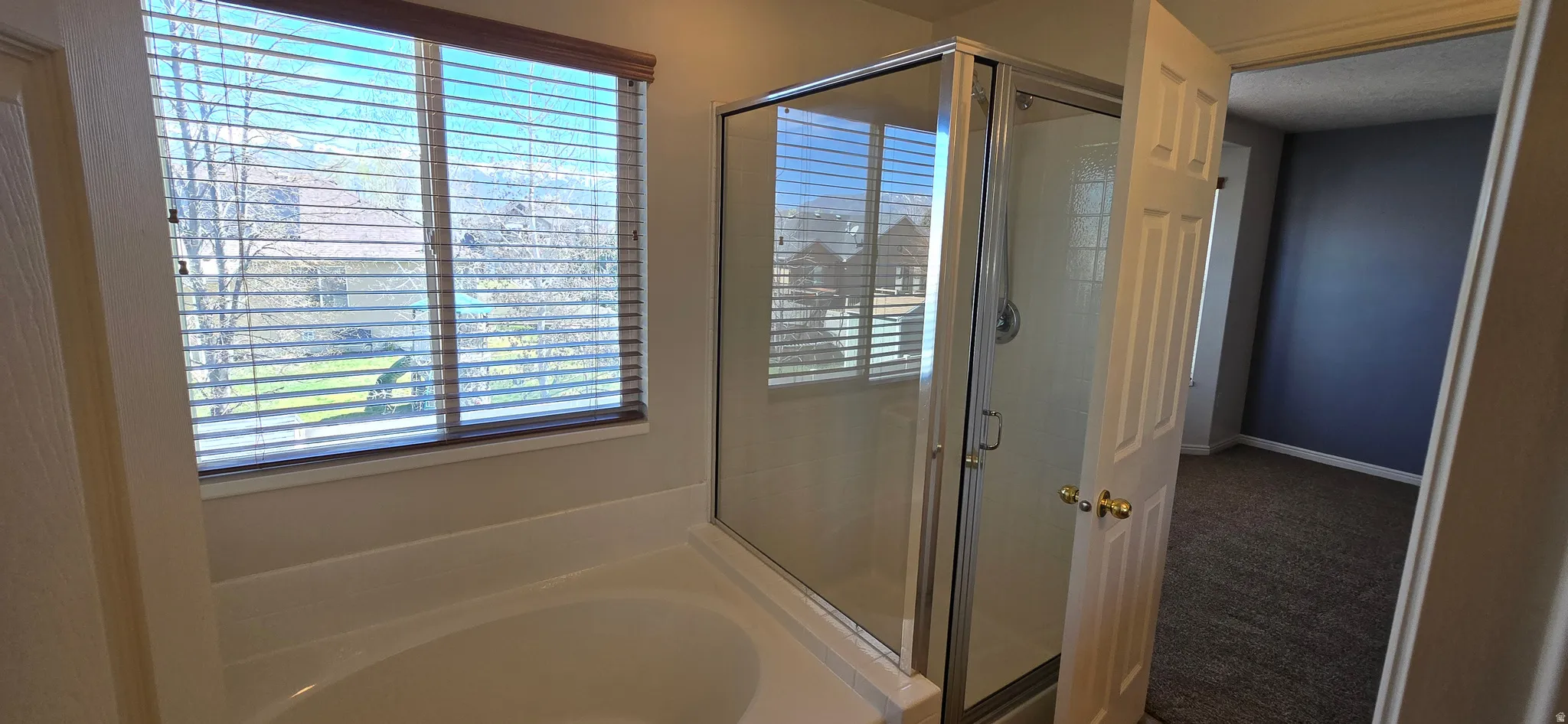 Large tub in master bath