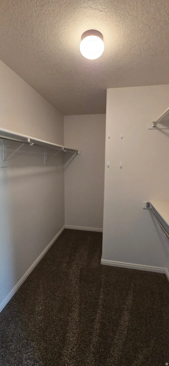 Walk in closet in master bedroom