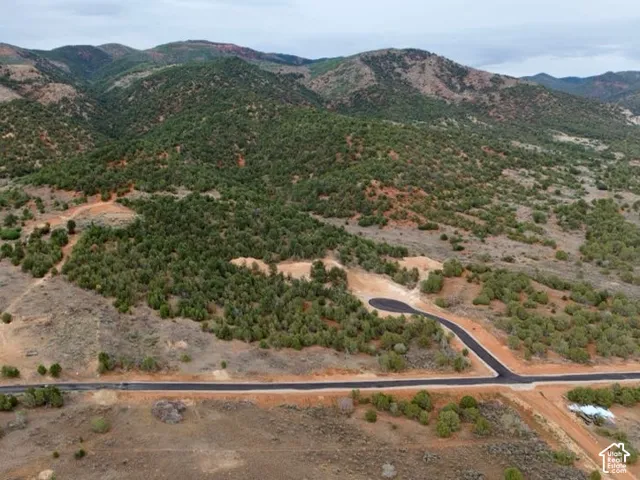 Mountainous terrain with natural vegetation, paved roadway, and residential structure