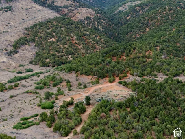 Expansive property featuring a paved road, natural landscaping, and a distant residence