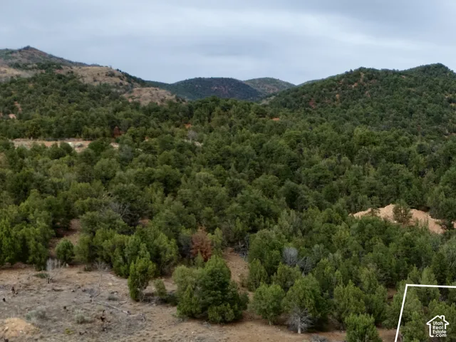 One-acre undeveloped lot featuring a paved road frontage and natural tree coverage, set against a backdrop of rolling hills