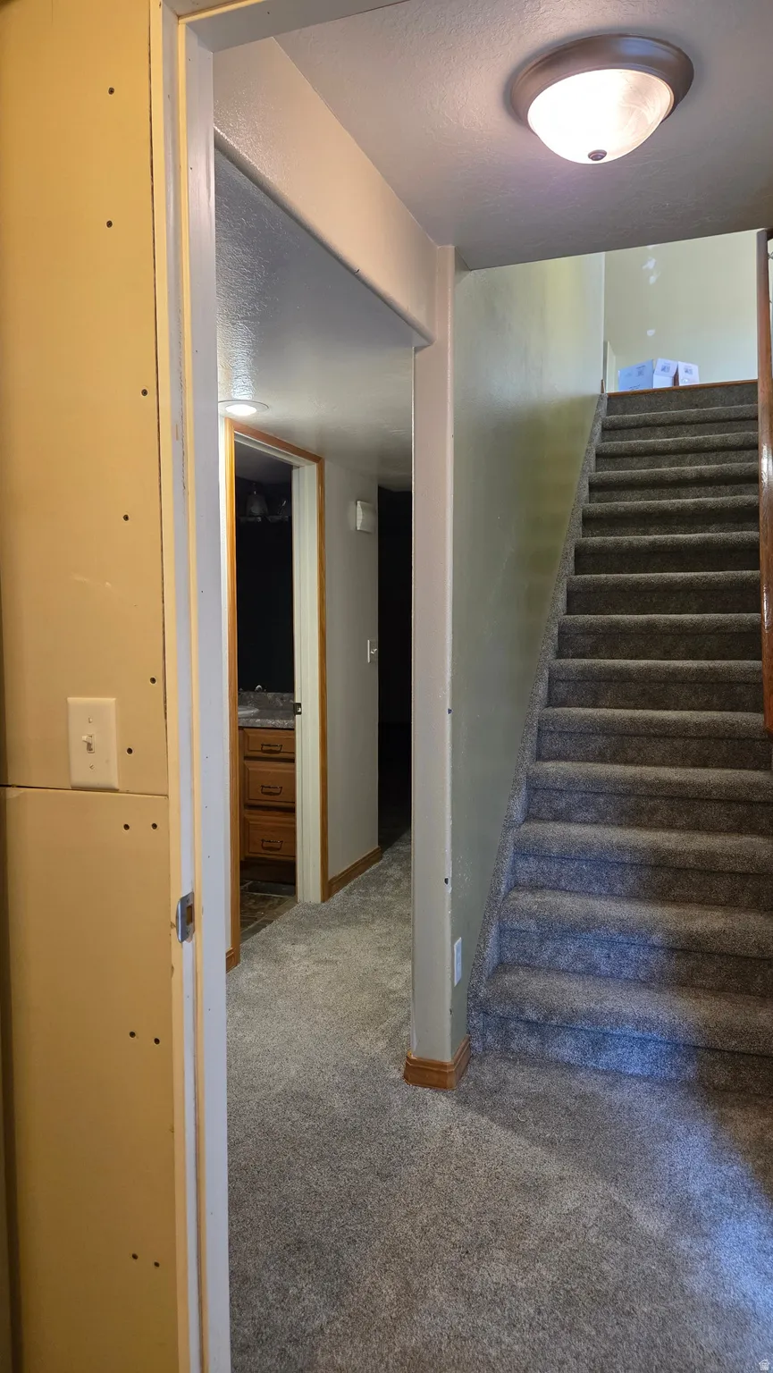 Staircase featuring carpet floors and a textured ceiling