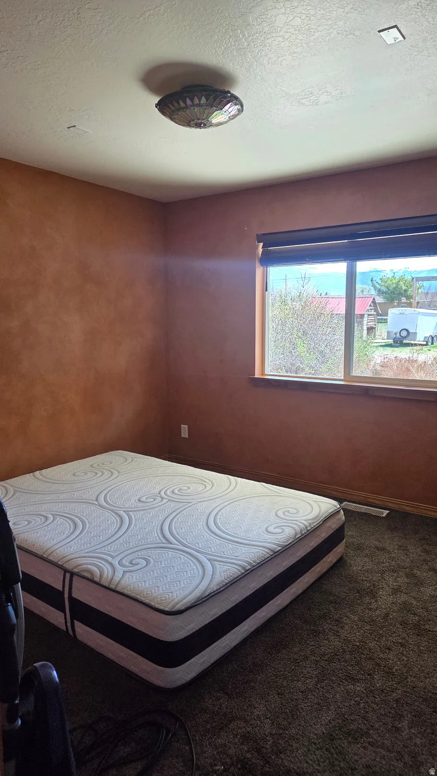 Master Bedroom featuring a new carpet
