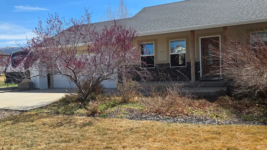 Front Yard