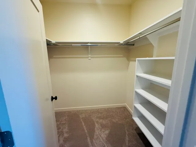 Master Walk in closet with dark carpet