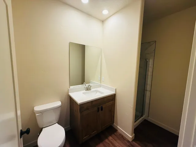 Full bath featuring a shower stall, vanity, dark wood-style flooring, and recessed lighting