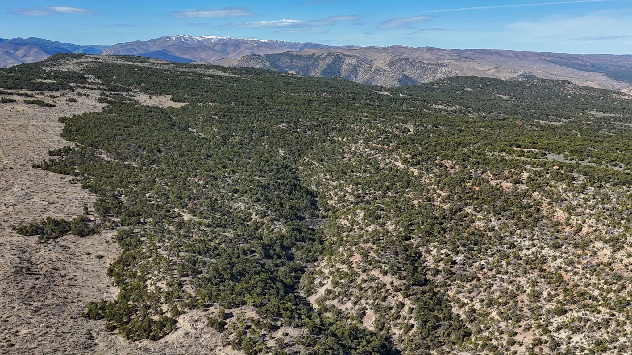 Mountain view with a heavily wooded area