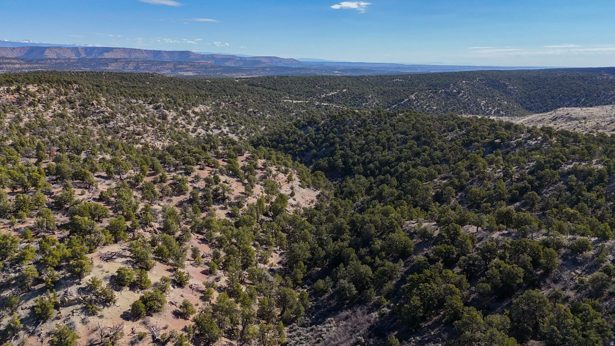 Aerial view of mountains and a heavily wooded area