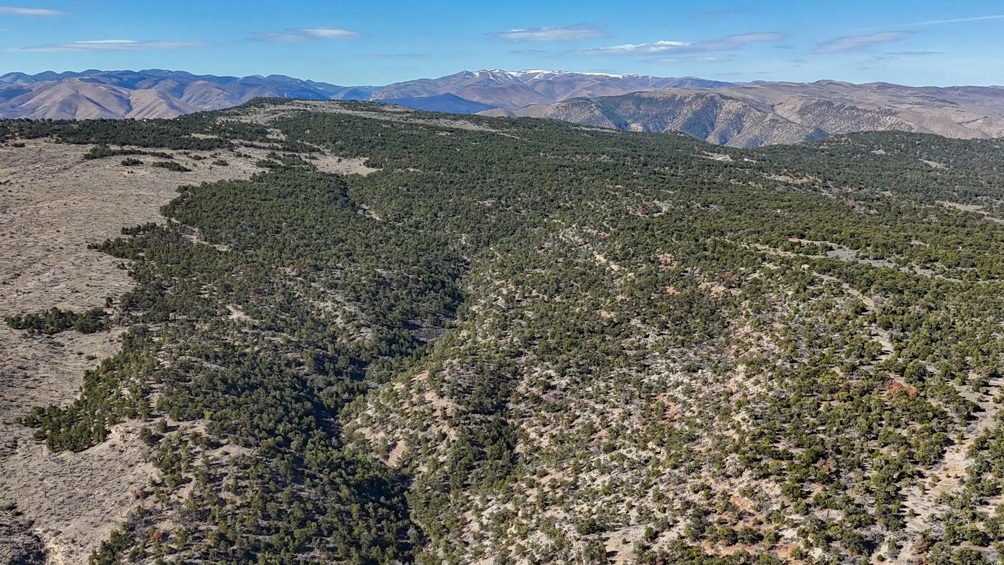 View of mountain backdrop with a heavily wooded area