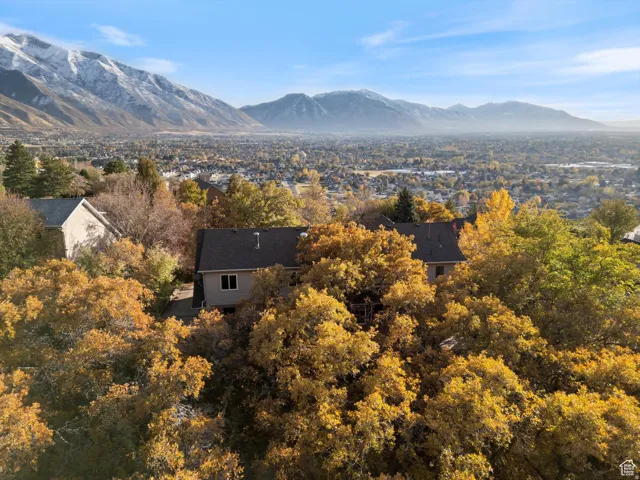 View of mountain backdrop featuring a tree filled landscape