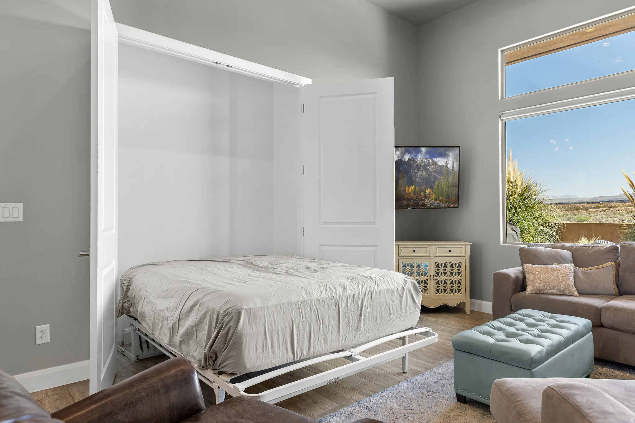 Murphy Bed in Living Area