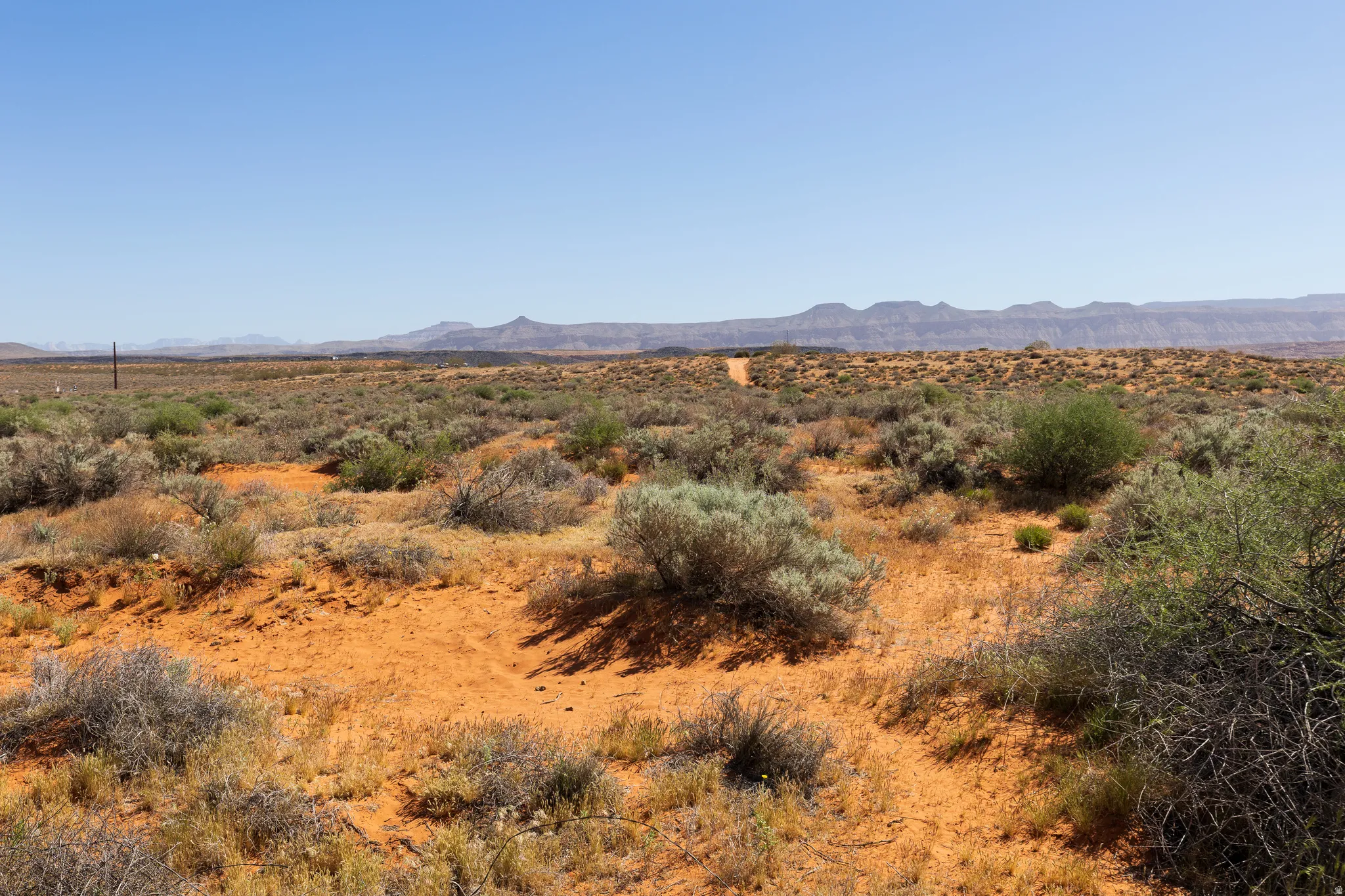 Views from your Backyard!