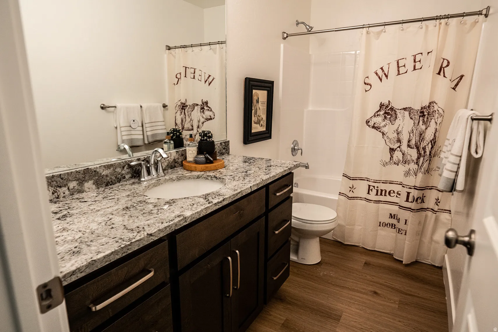 Full bathroom featuring vanity, dark wood-style floors, and shower / bathtub combination with curtain