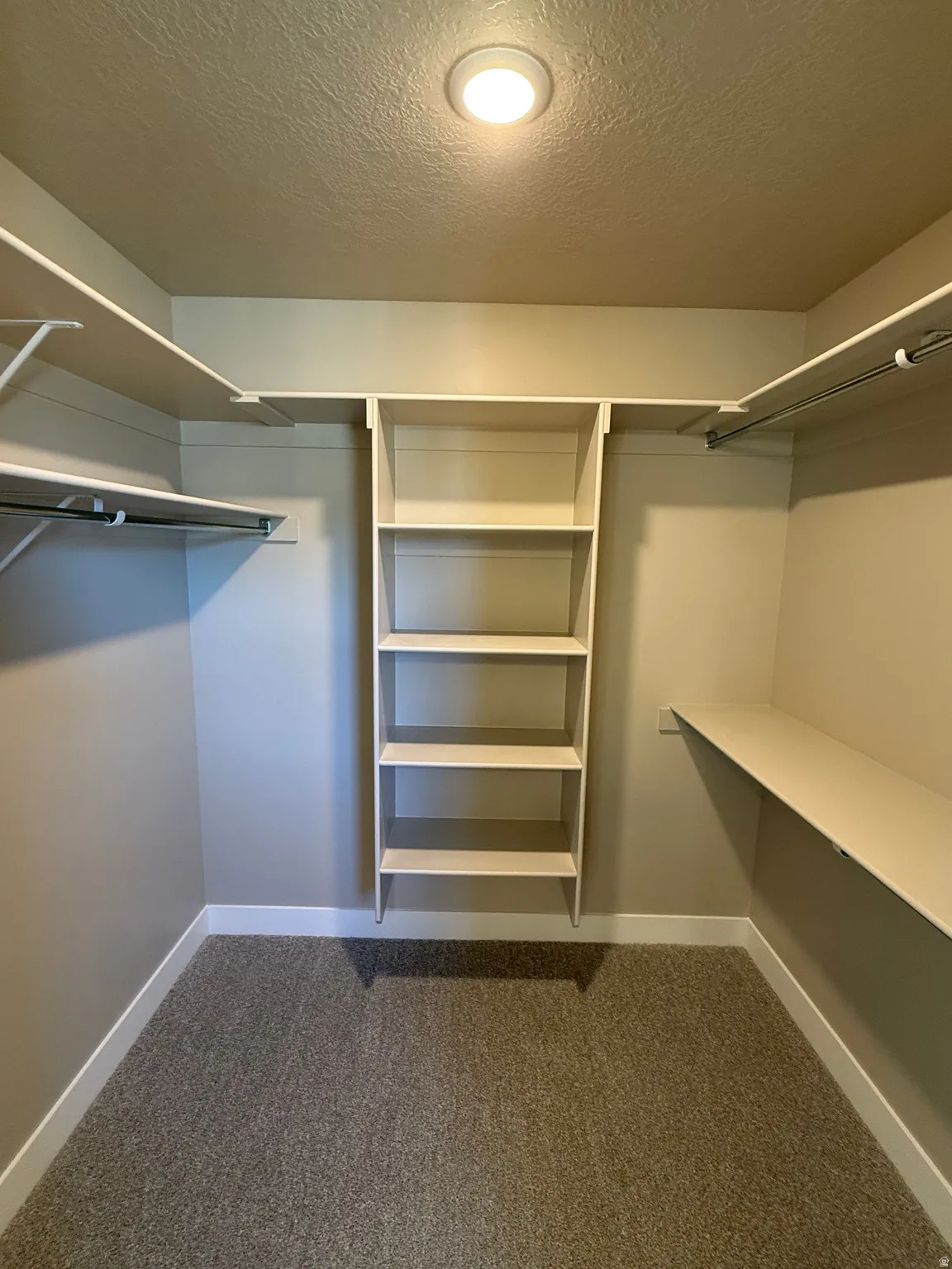 Walk in closet with dark colored carpet