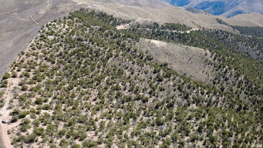 Bird's eye view of a mountain backdrop